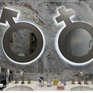 His/Her Mirrors